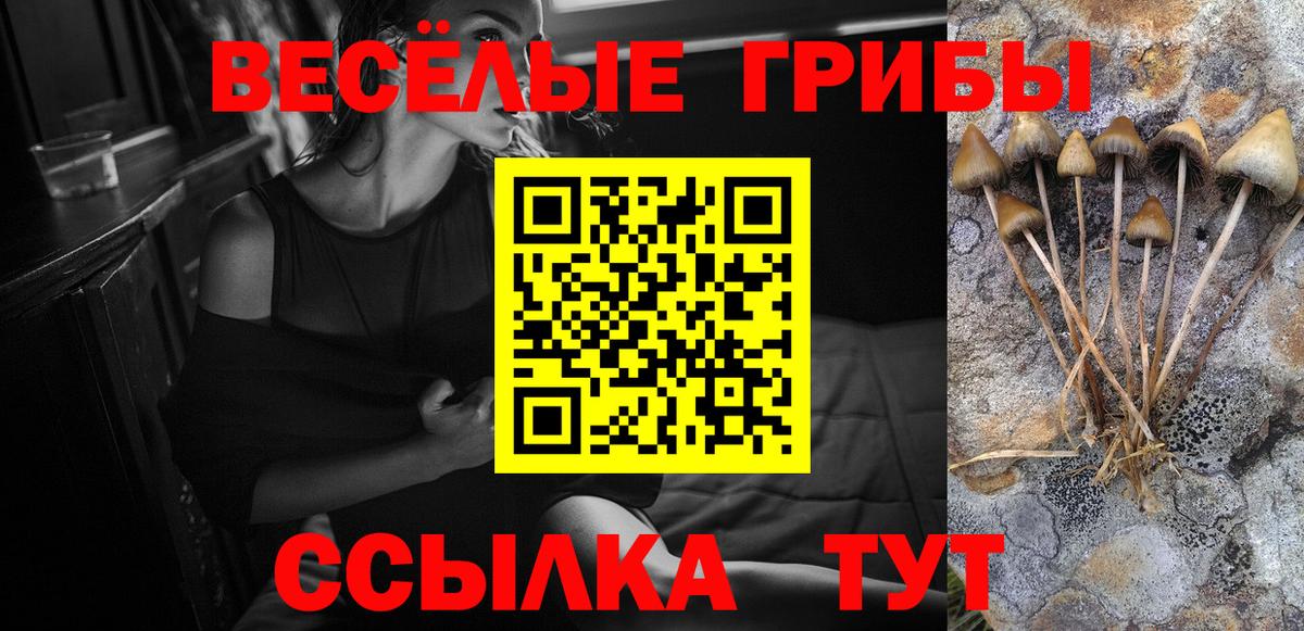 Галлюциногенные грибы прущие грибы Крымск